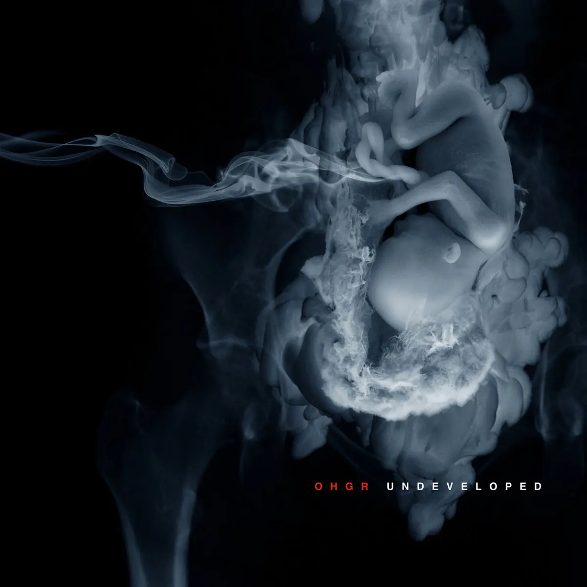unDeveloped Cover